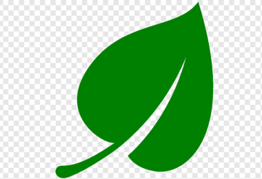 green-leaf-clip-art-png-clip-art